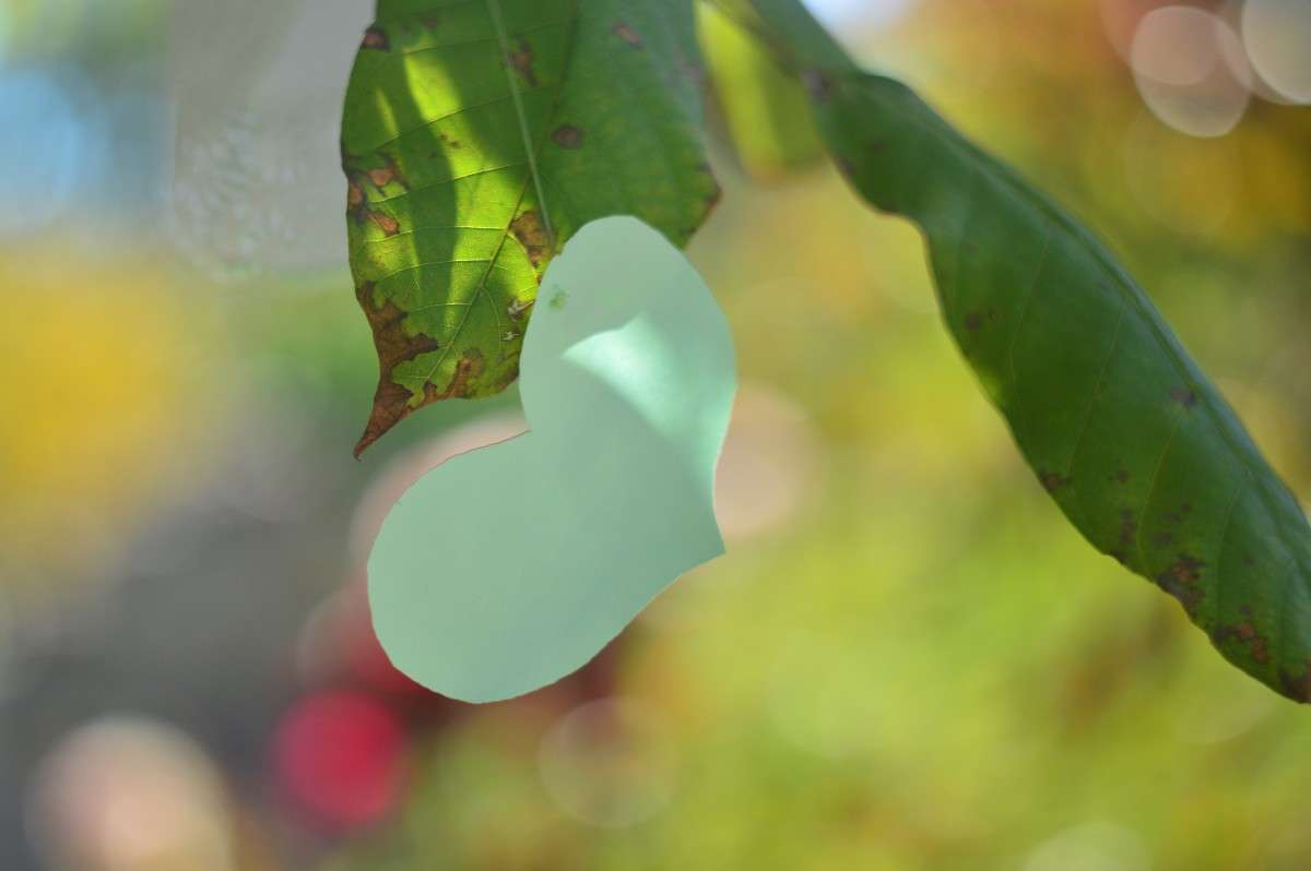 ... ����� John Spatari �� PhotoGeek.ru #�����