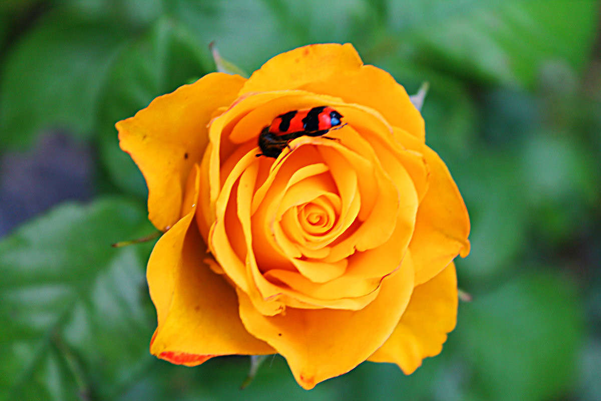 ... ����� ����  �� PhotoGeek.ru #�����