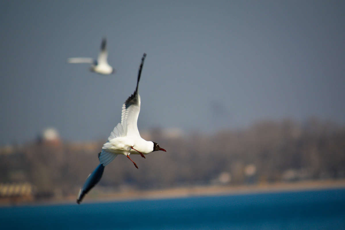 ������) ����� ������� ������ �� PhotoGeek.ru #�������� ���