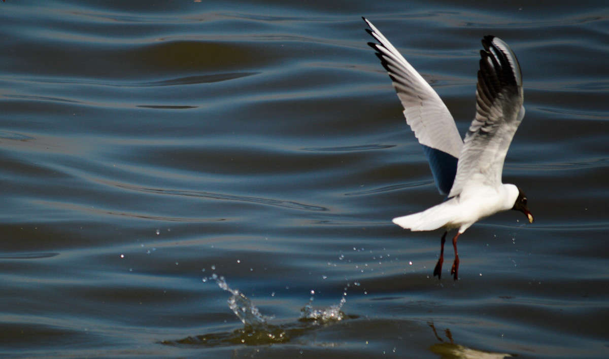 ������) ����� ������� ������ �� PhotoGeek.ru #�������� ���