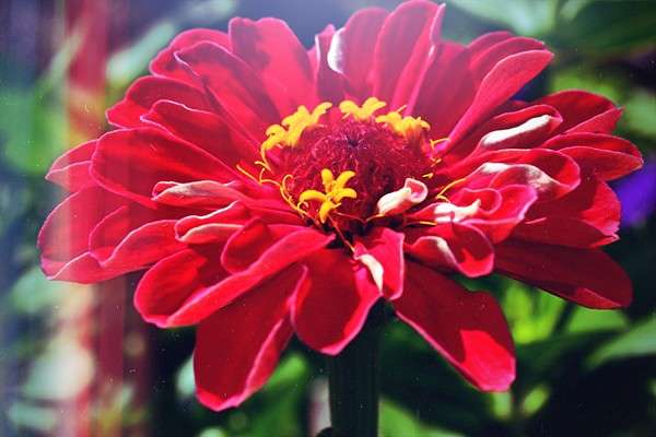 ... ����� ����� ������������� �� PhotoGeek.ru #������ ��� �������