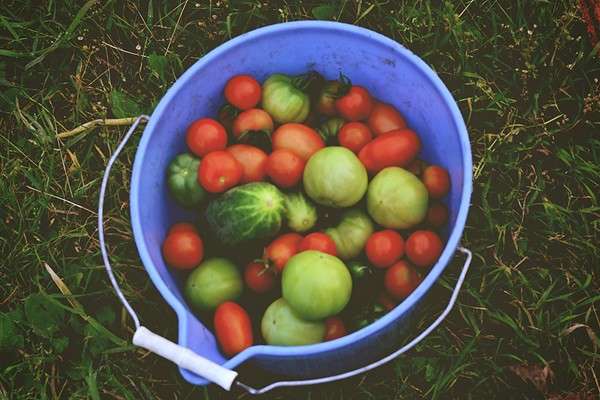 ... ����� ����� ������������� �� PhotoGeek.ru #������ ��� �������