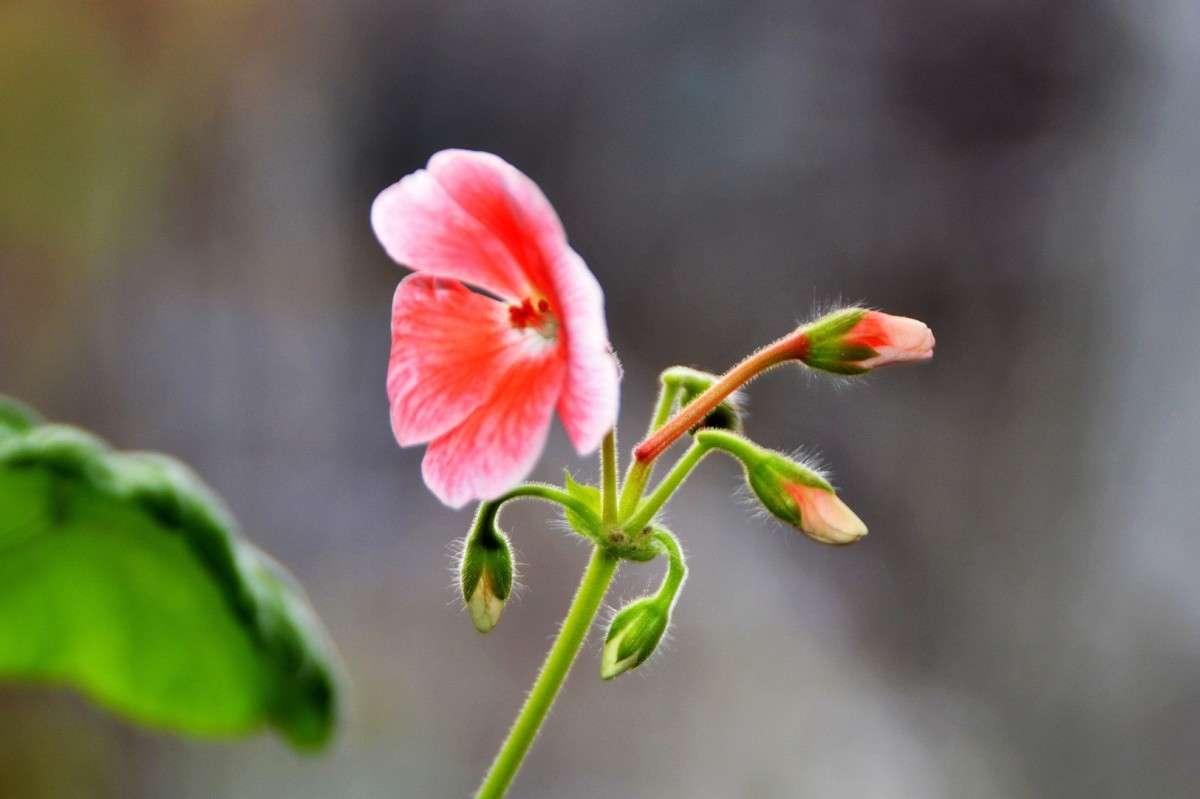 ... ����� Gennady  �� PhotoGeek.ru