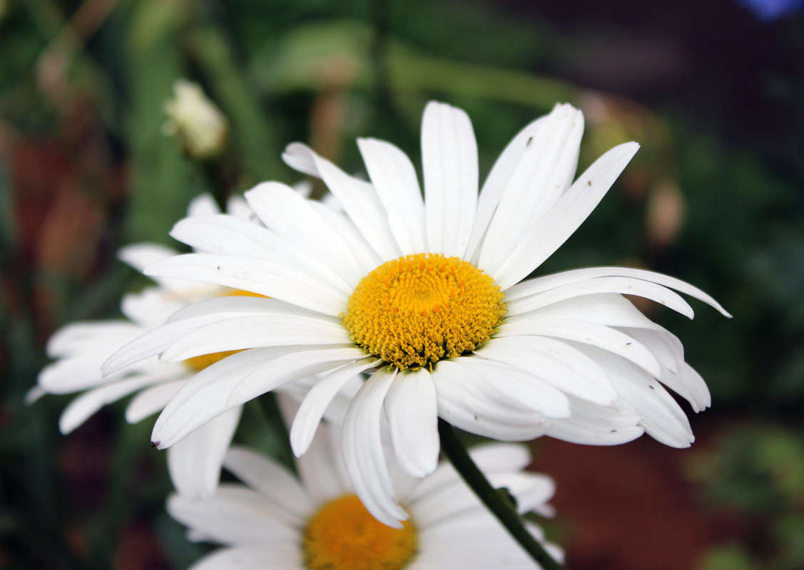 ������� ����� ���� ���������� �� PhotoGeek.ru #����� #����� ��������������