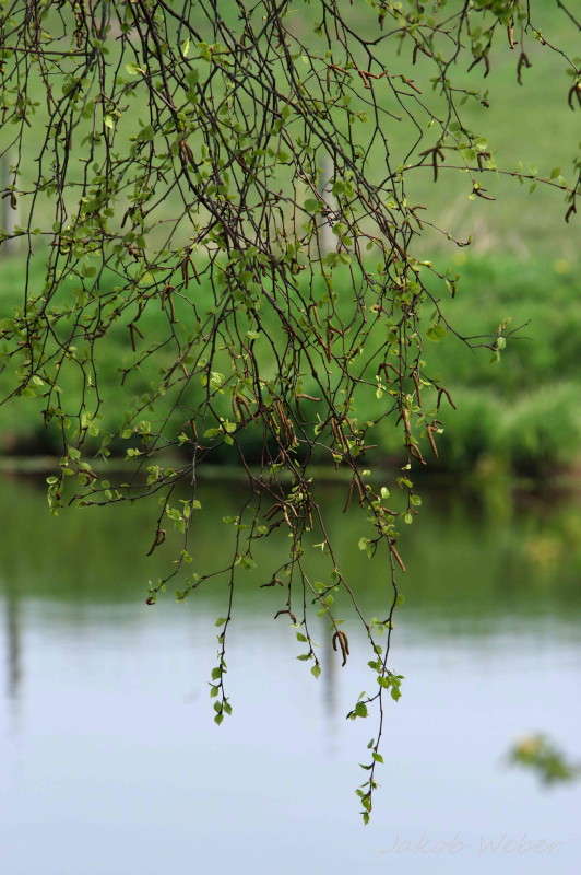 ������� �������� ����� ���� ����� �� PhotoGeek.ru #������ ��� ������� #����� �������������� #���������