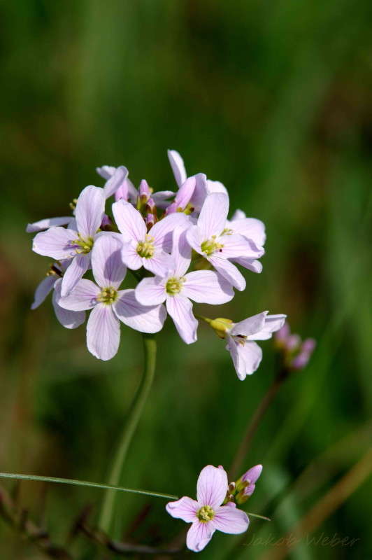 ������� ����� ���� ����� �� PhotoGeek.ru #����� #������ ��� ������� #����� ��������������