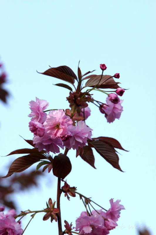 ����� �������������� ����� ���� ����� �� PhotoGeek.ru #������ ��� ������� #����� �������������� #������