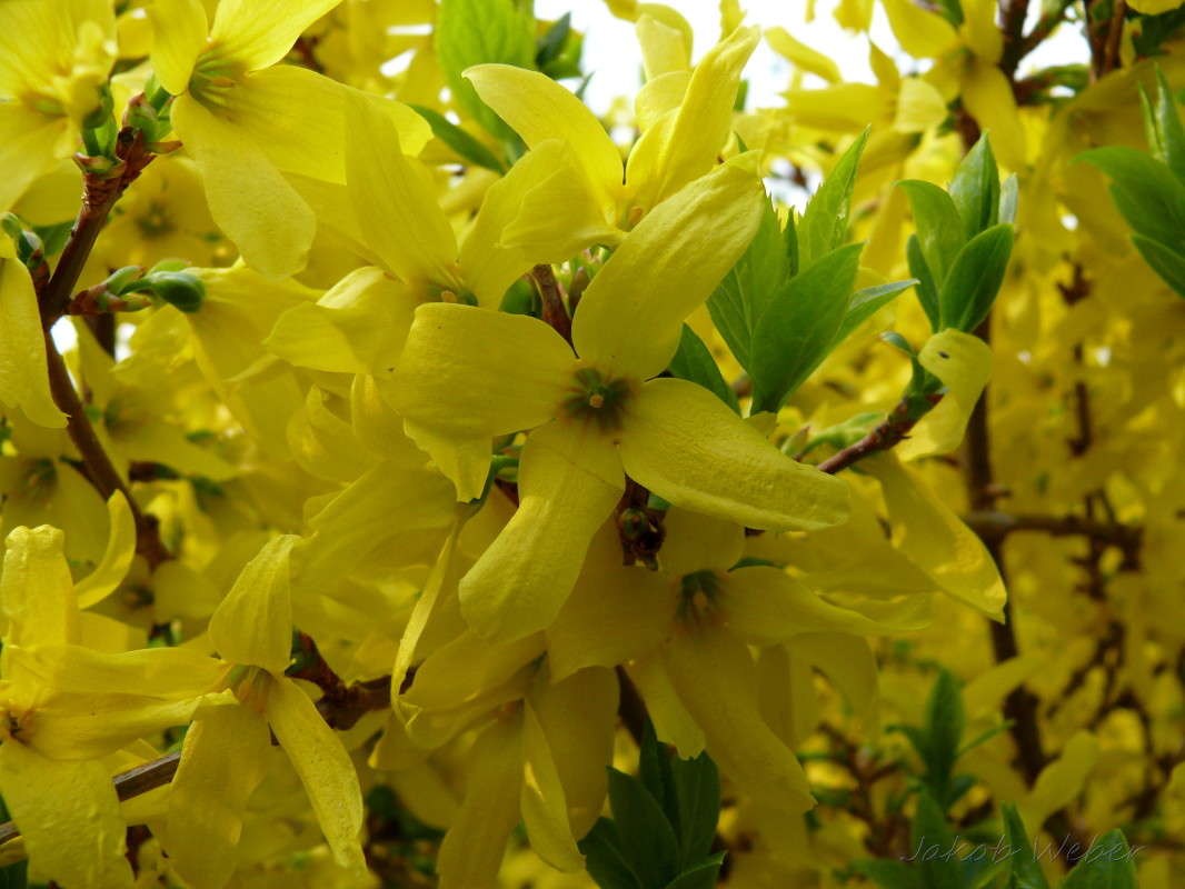 ��������� ����� ���� ����� �� PhotoGeek.ru #������ ��� ������� #����� �������������� #������