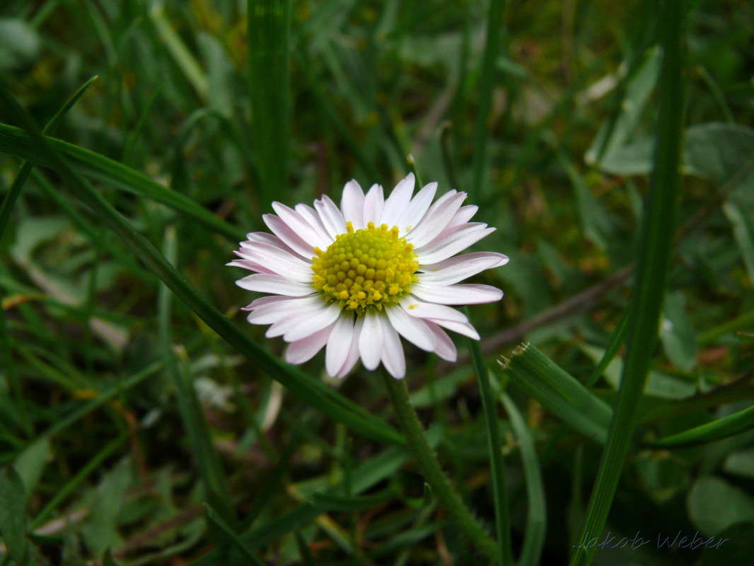 ���������� ����� ���� ����� �� PhotoGeek.ru #������ ��� ������� #����� �������������� #������