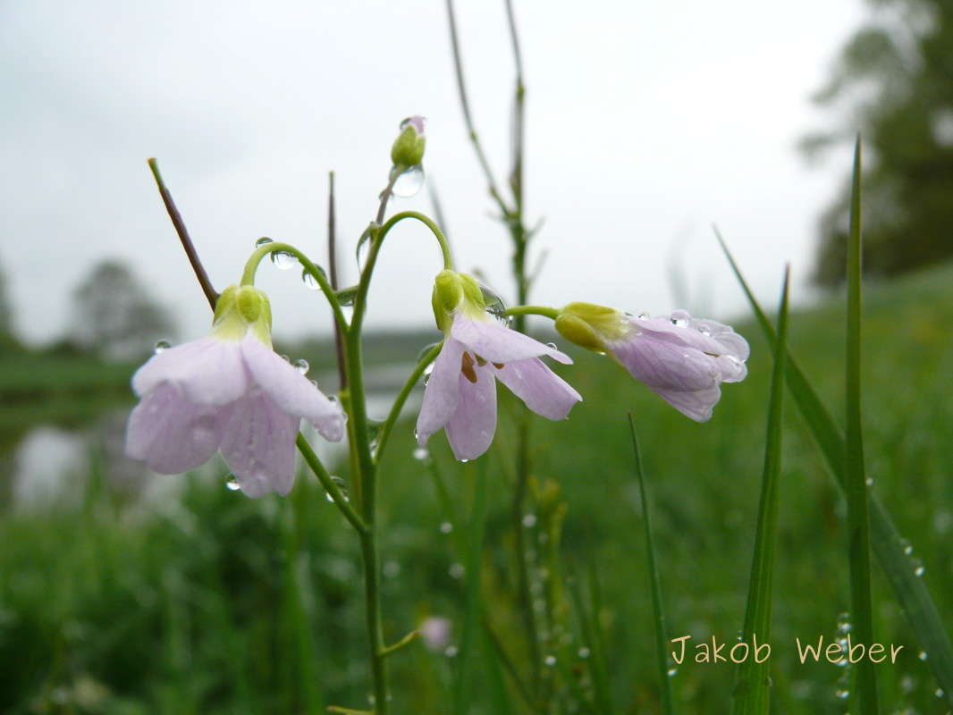 ����� ������� ����� ���� ����� �� PhotoGeek.ru #������ ��� ������� #����� �������������� #������