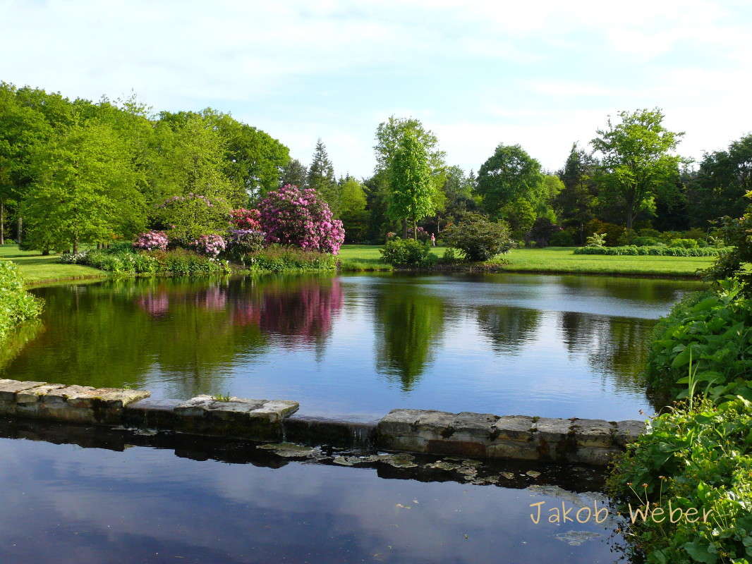 �������� ����� ���� ����� �� PhotoGeek.ru #������ ��� ������� #����� �������������� #������