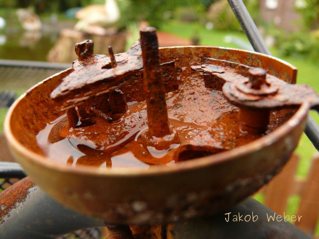 ��� ����� ���� ����� �� PhotoGeek.ru #����� #�������� ����������