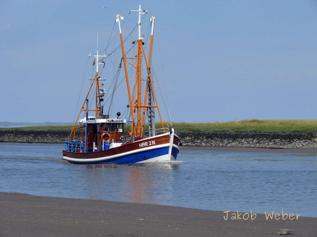 �������� ����� ���� ����� �� PhotoGeek.ru #������ ��� ������� #�������� ���������� #������