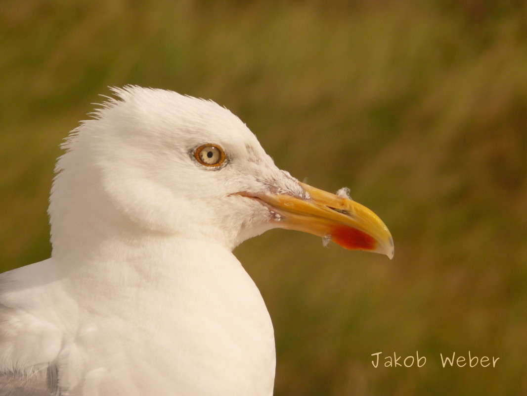 ����� ����� ���� ����� �� PhotoGeek.ru #�������� ��� #������� #����� ��� ��� ���������