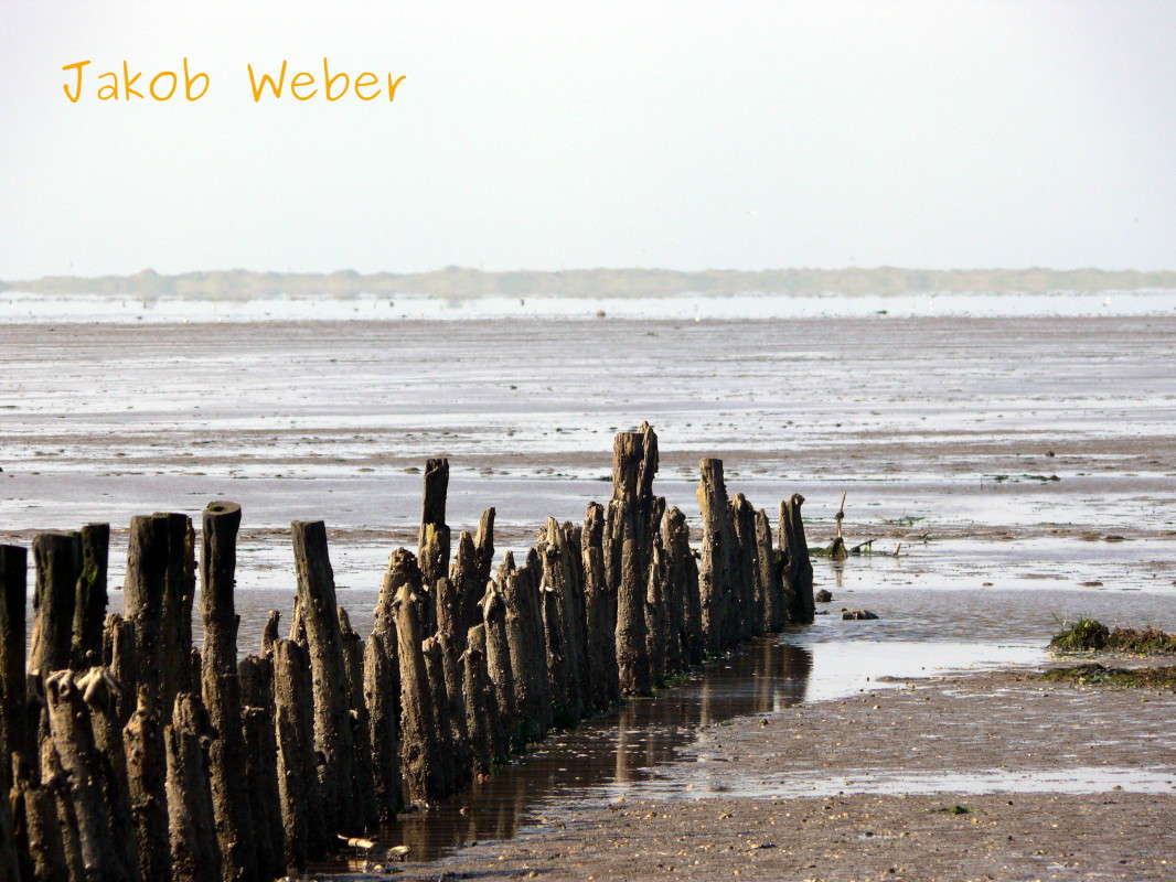 ����� ����� ���� ����� �� PhotoGeek.ru #������ ��� ������� #������