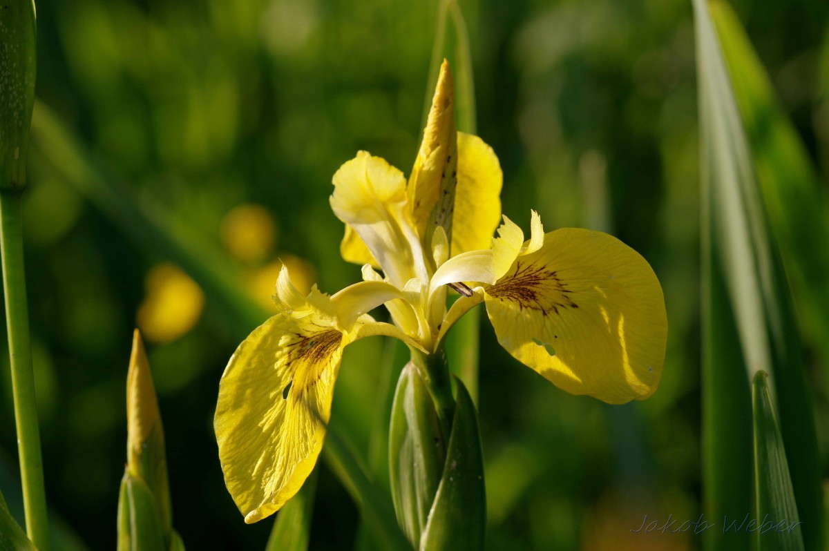 ���� ����� ���� ����� �� PhotoGeek.ru #������ ��� ������� #����� �������������� #������