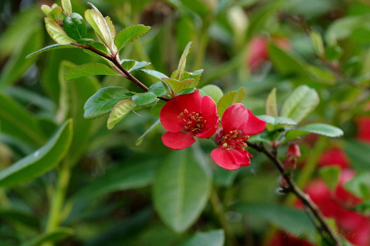 ��������� ����� ���� ����� �� PhotoGeek.ru #������ ��� ������� #����� �������������� #������