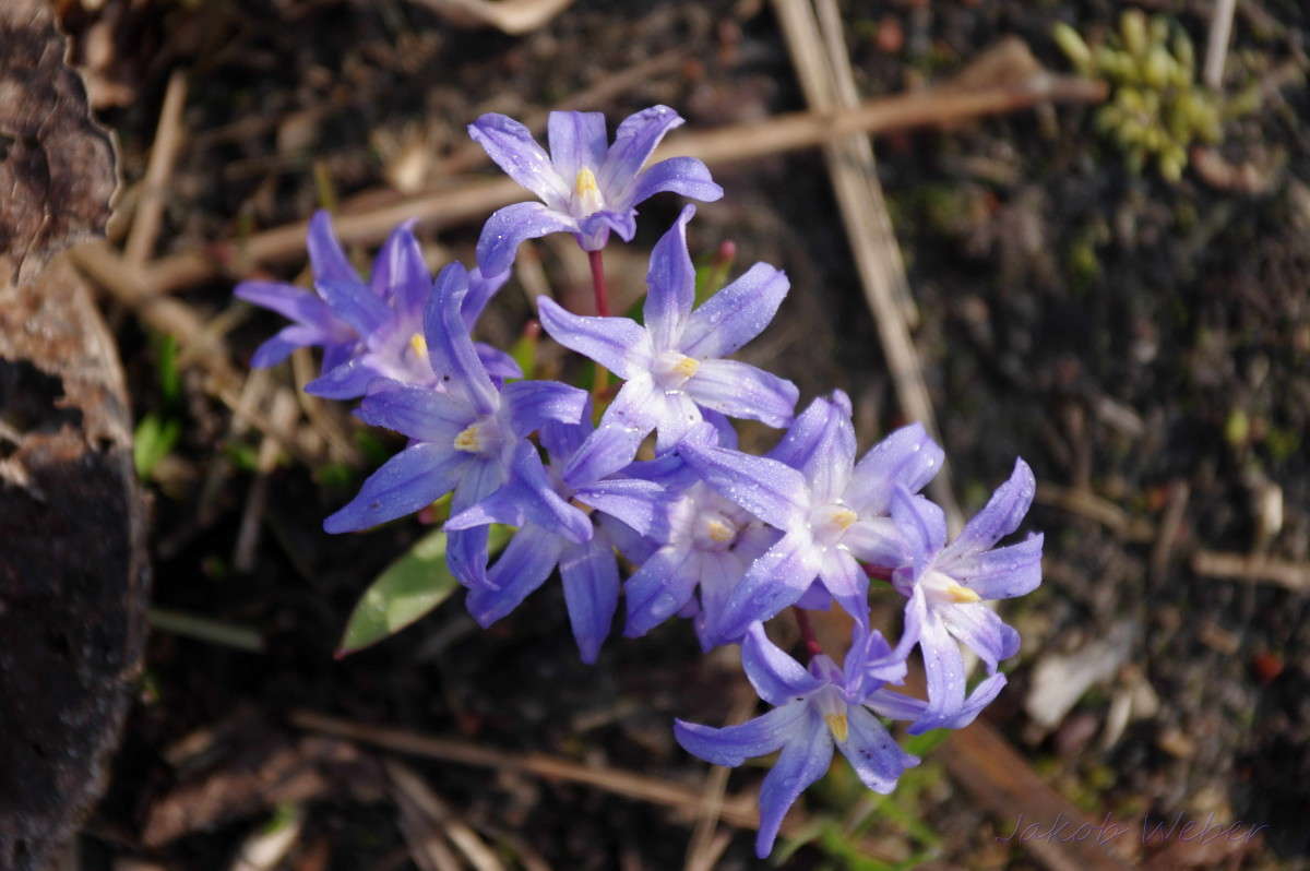 ������ ����� ���� ����� �� PhotoGeek.ru #������ ��� ������� #����� �������������� #������