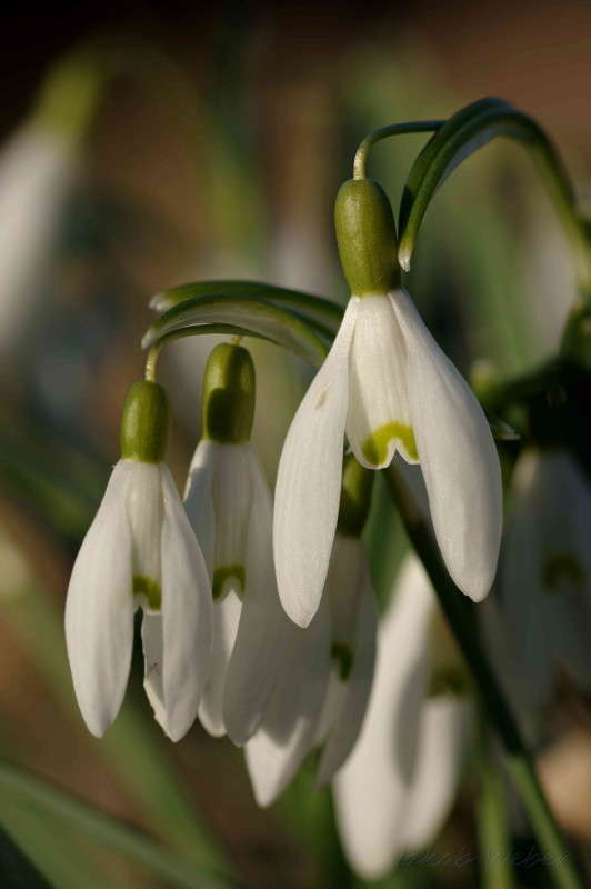 ����������� ����� ���� ����� �� PhotoGeek.ru #����� #������ ��� ������� #����� �������������� #������