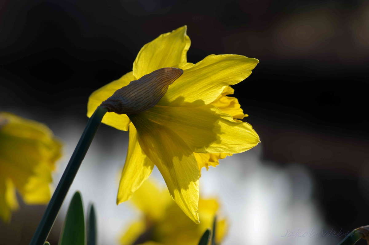 ������� ����� ���� ����� �� PhotoGeek.ru #����� #������ ��� ������� #����� �������������� #������