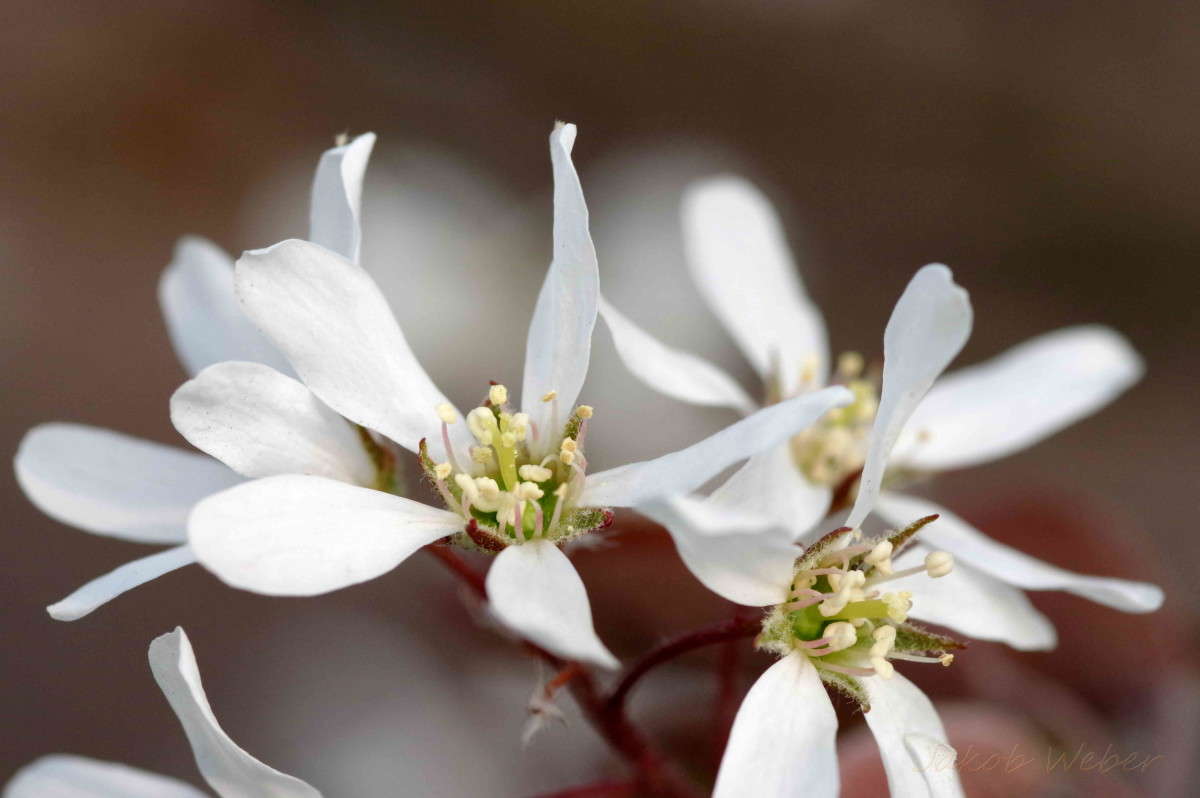 ���� ����� ���� ����� �� PhotoGeek.ru #����� #������ ��� ������� #����� �������������� #������