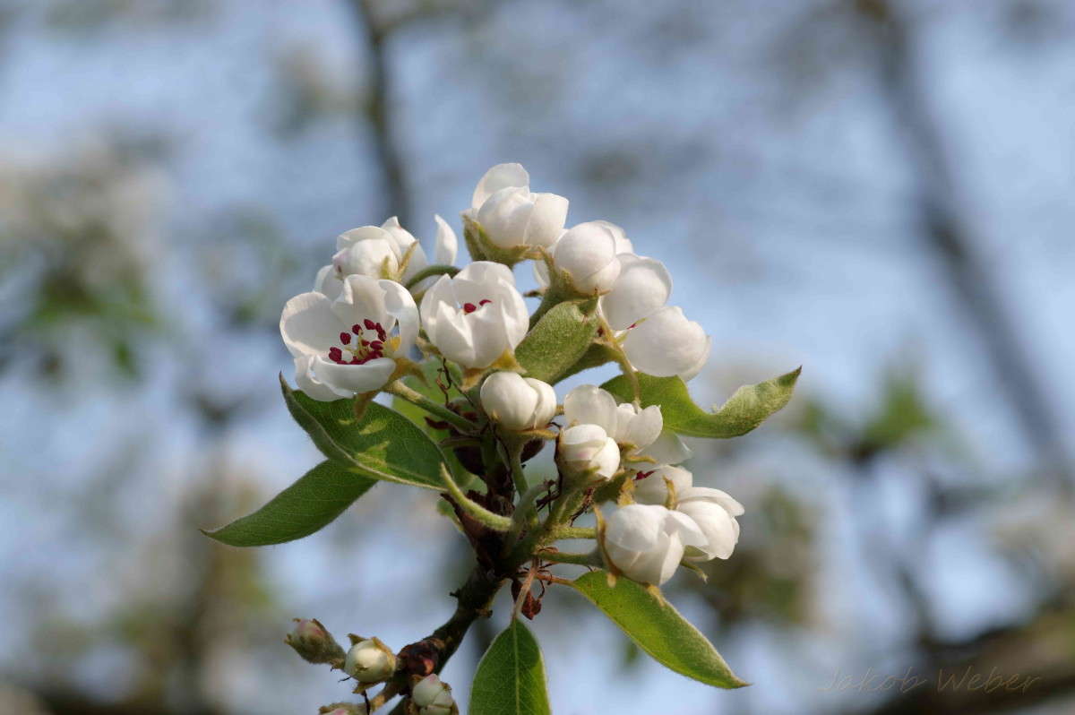 ����� �����-����������   �������� ������ ���� ���! ����� ���� ����� �� PhotoGeek.ru #������ ��� ������� #����� �������������� #������