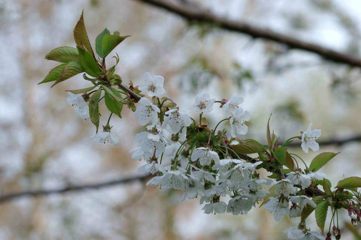 �� �������� ������ �������, � ��� ����� �����. ����� ���� ����� �� PhotoGeek.ru #������ ��� ������� #����� �������������� #������