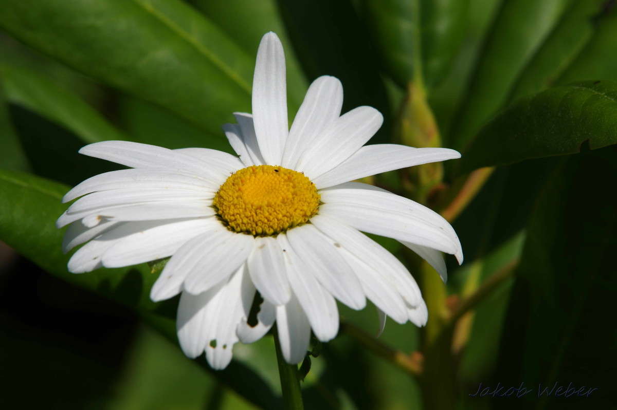 ���������� ����� ���� ����� �� PhotoGeek.ru #����� #������ ��� ������� #����� �������������� #���������