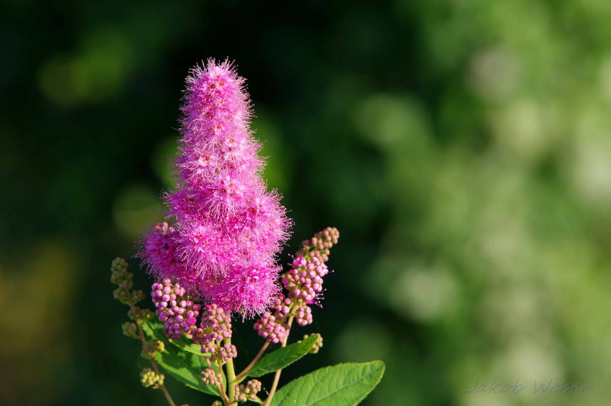 �������� ���� ����� ���� ����� �� PhotoGeek.ru #����� #������ ��� ������� #����� �������������� #��������� #������