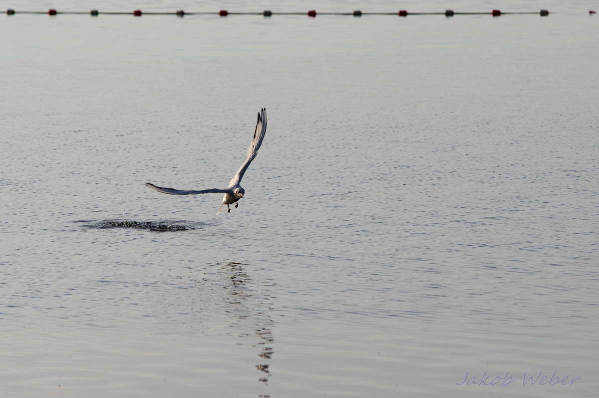 ������� ���� ����� ���� ����� �� PhotoGeek.ru #�������� ��� #������ ��� ������� #����� ��� ��� ��������� #������