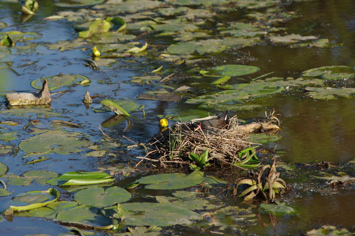 ������ �� ������. ����� ���� ����� �� PhotoGeek.ru #�������� ��� #����� ��� ��� ���������