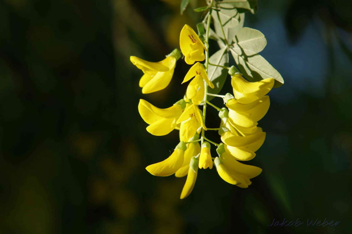 ������ ������������� ����� ���� ����� �� PhotoGeek.ru #����� #������ ��� ������� #����� ��������������