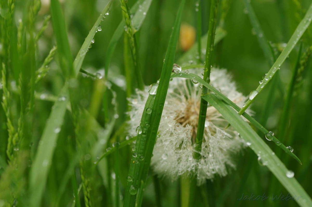 � ������. ����� ���� ����� �� PhotoGeek.ru #����� #������ ��� ������� #����� �������������� #������