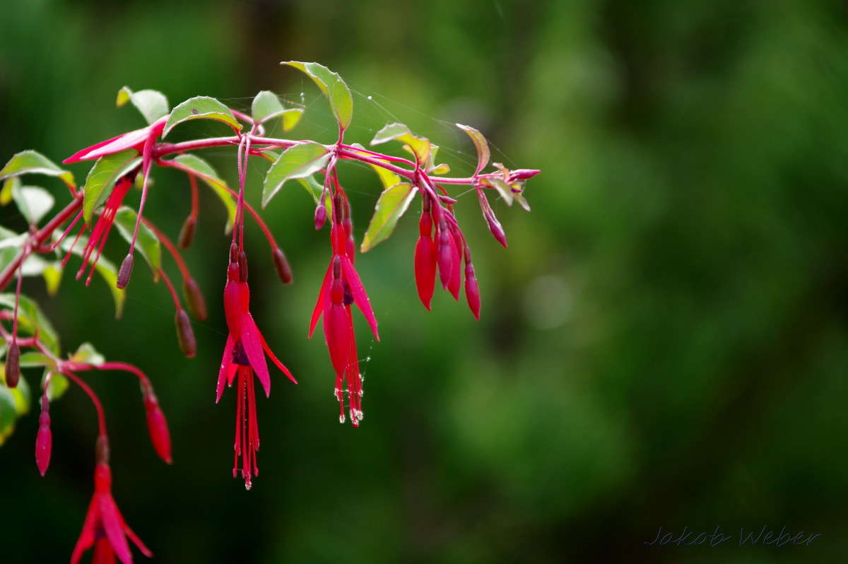 ������ �������� ����� ���� ����� �� PhotoGeek.ru #����� #������ ��� ������� #����� ��������������