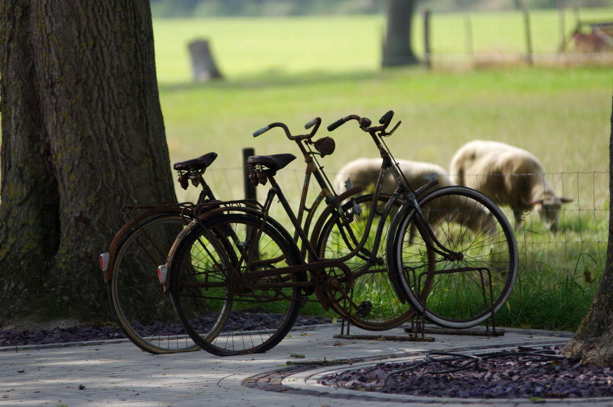 Oldtimer ����� ���� ����� �� PhotoGeek.ru #������ ��� ������� #��������� #������ #����� ��������