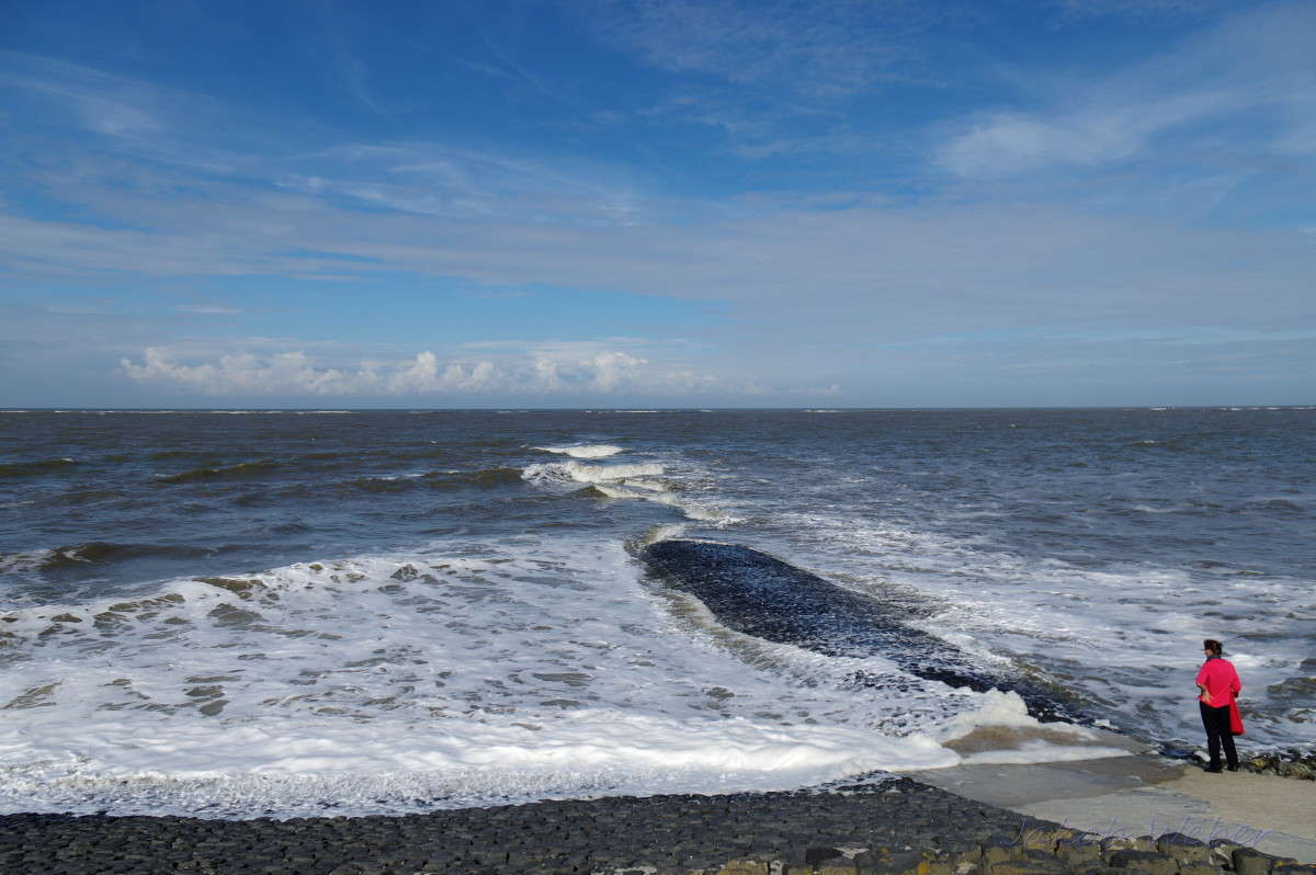 � ������ ��������� ����. ����� ���� ����� �� PhotoGeek.ru #������ ��� ������� #�������� ����������