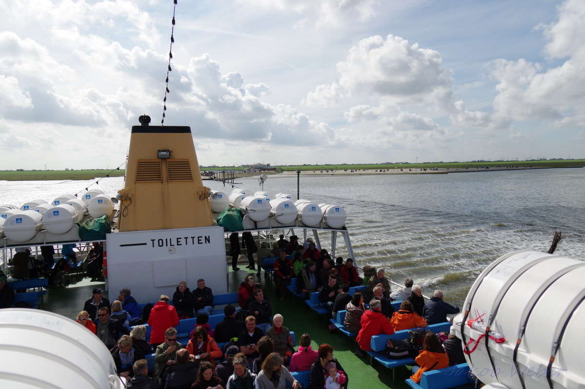 � �� ��������� ������ ������. ����� ���� ����� �� PhotoGeek.ru #������ ��� ������� #�������� ���������� #������ #�����-����