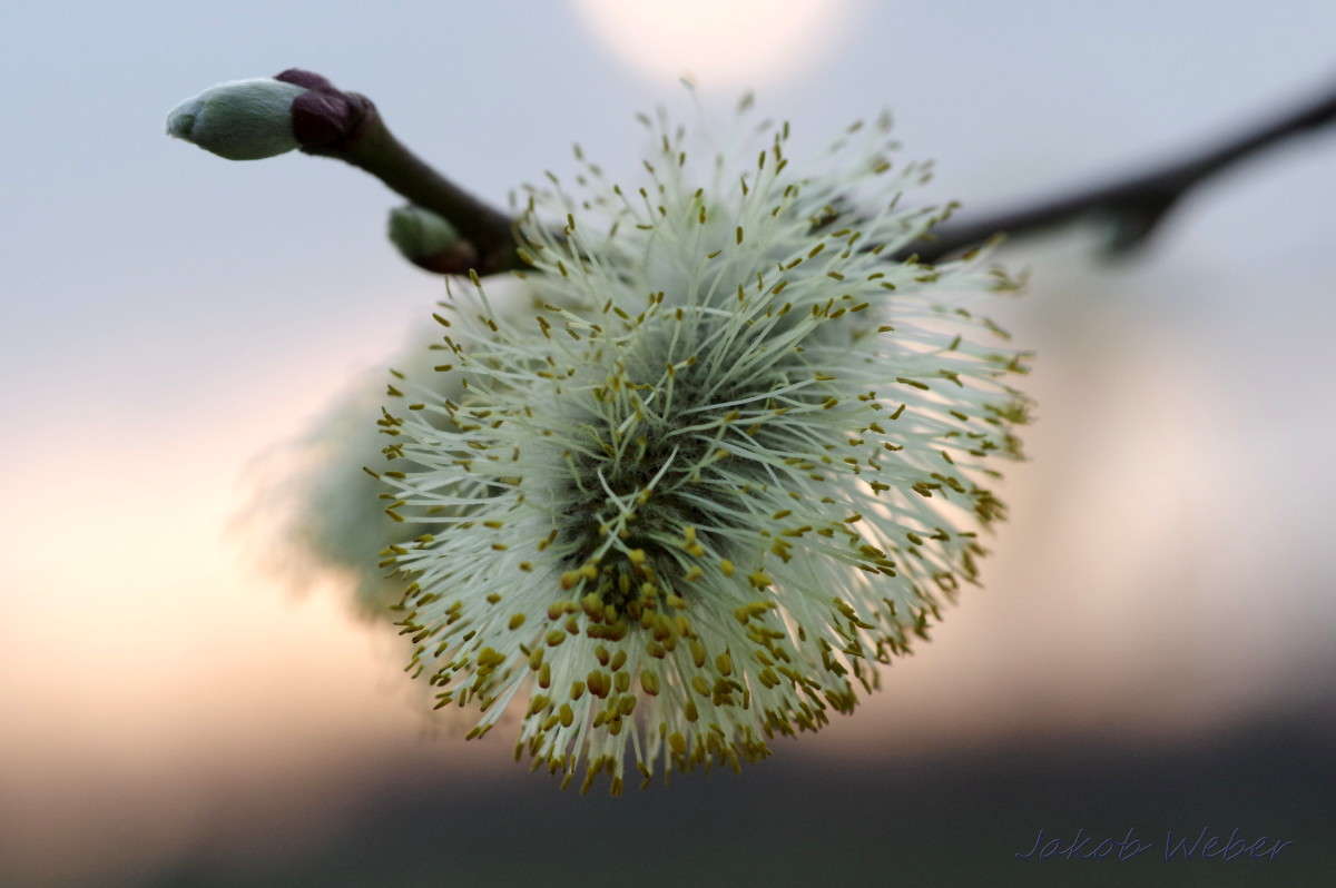 ����� ����� ���� ����� �� PhotoGeek.ru #����� #������ ��� ������� #����� �������������� #������