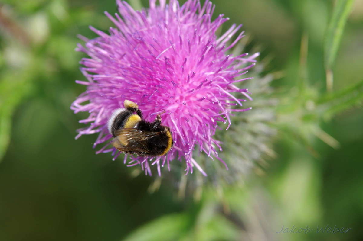 ���� ������ ����� ���� ����� �� PhotoGeek.ru #�������� ��� #����� ��� ��� ���������