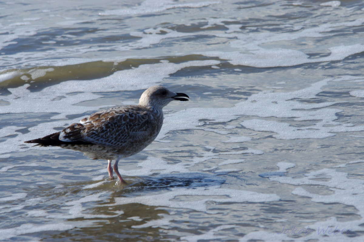 ������� ����� ����� ���� ����� �� PhotoGeek.ru #�������� ��� #������ ��� ������� #����� ��������