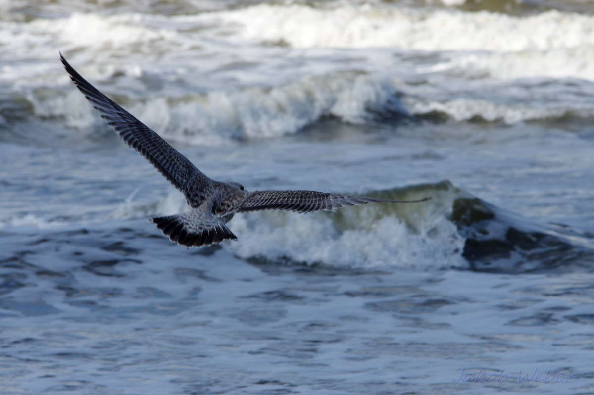 ��� �������� ����� ����� ���� ����� �� PhotoGeek.ru #�������� ��� #������ ��� ������� #����� ��� ��� ���������