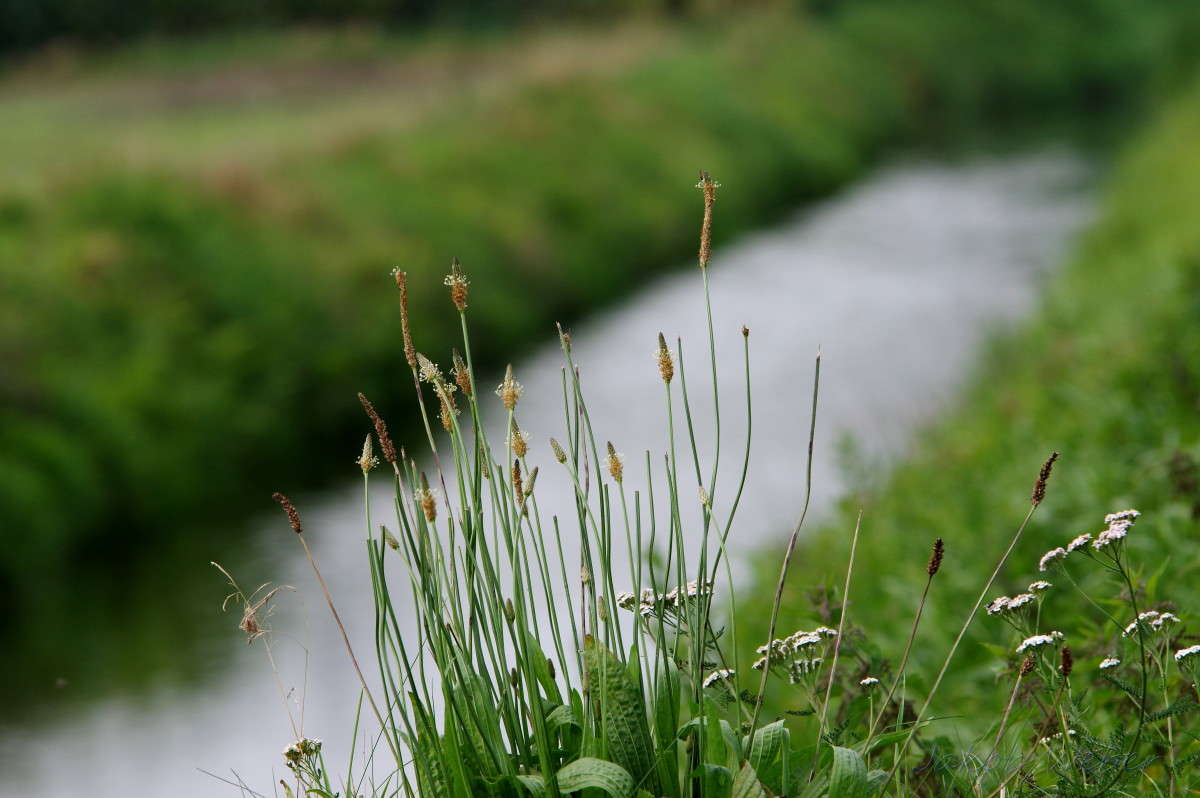 ���������� ����� ���� ����� �� PhotoGeek.ru #������ ��� ������� #����� ��������������