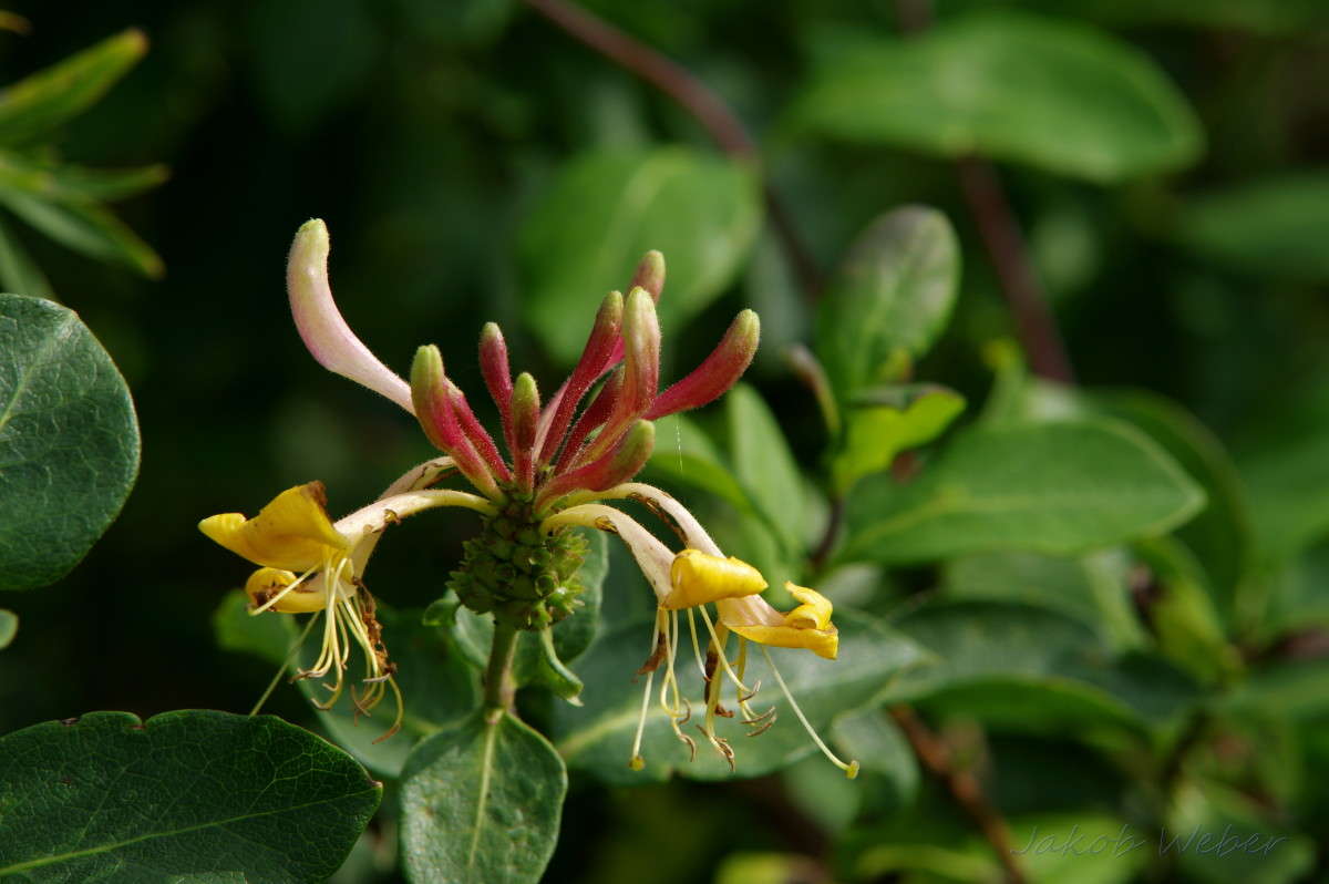 �������� ����� ���� ����� �� PhotoGeek.ru #������ ��� ������� #����� ��������������