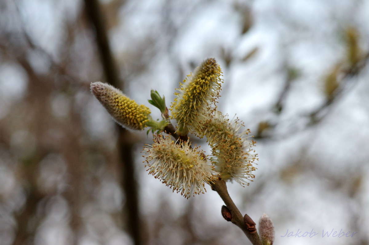 ��� ����� ���� ����� �� PhotoGeek.ru #������ ��� ������� #����� �������������� #������