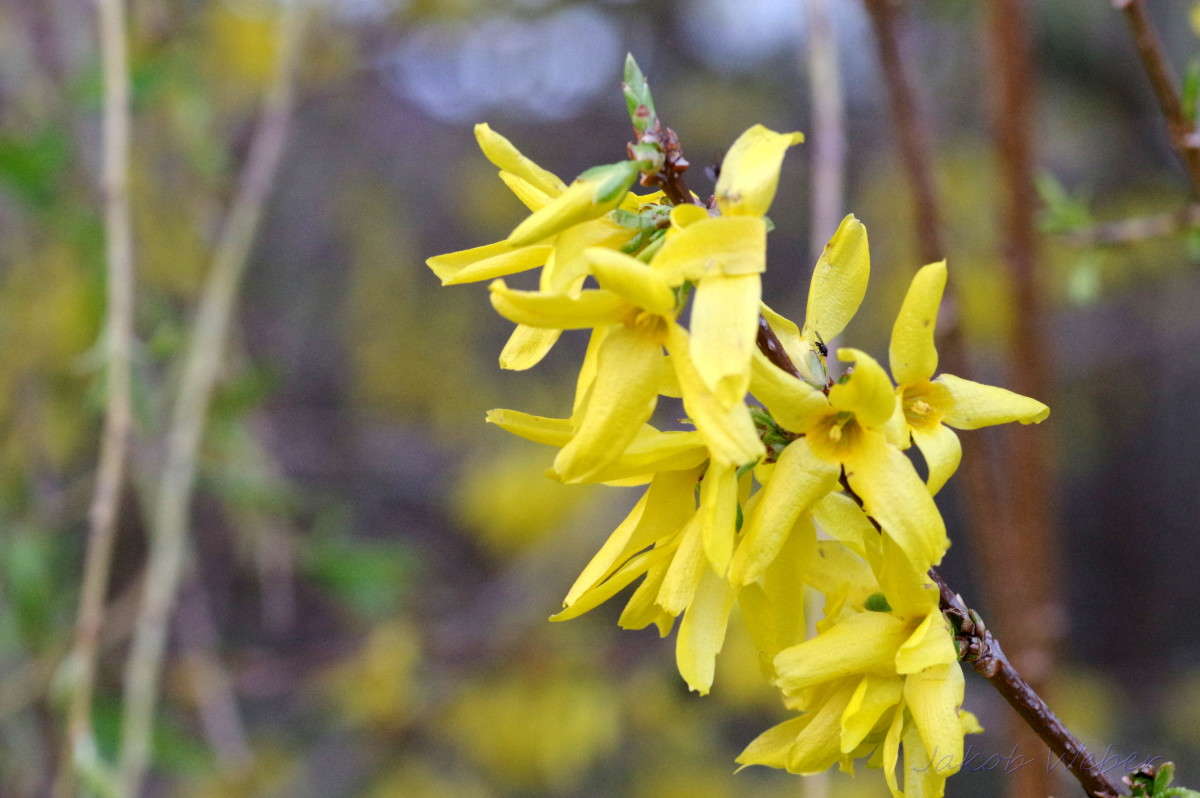 Ƹ��������� ����� ���� ����� �� PhotoGeek.ru #������ ��� ������� #����� �������������� #������