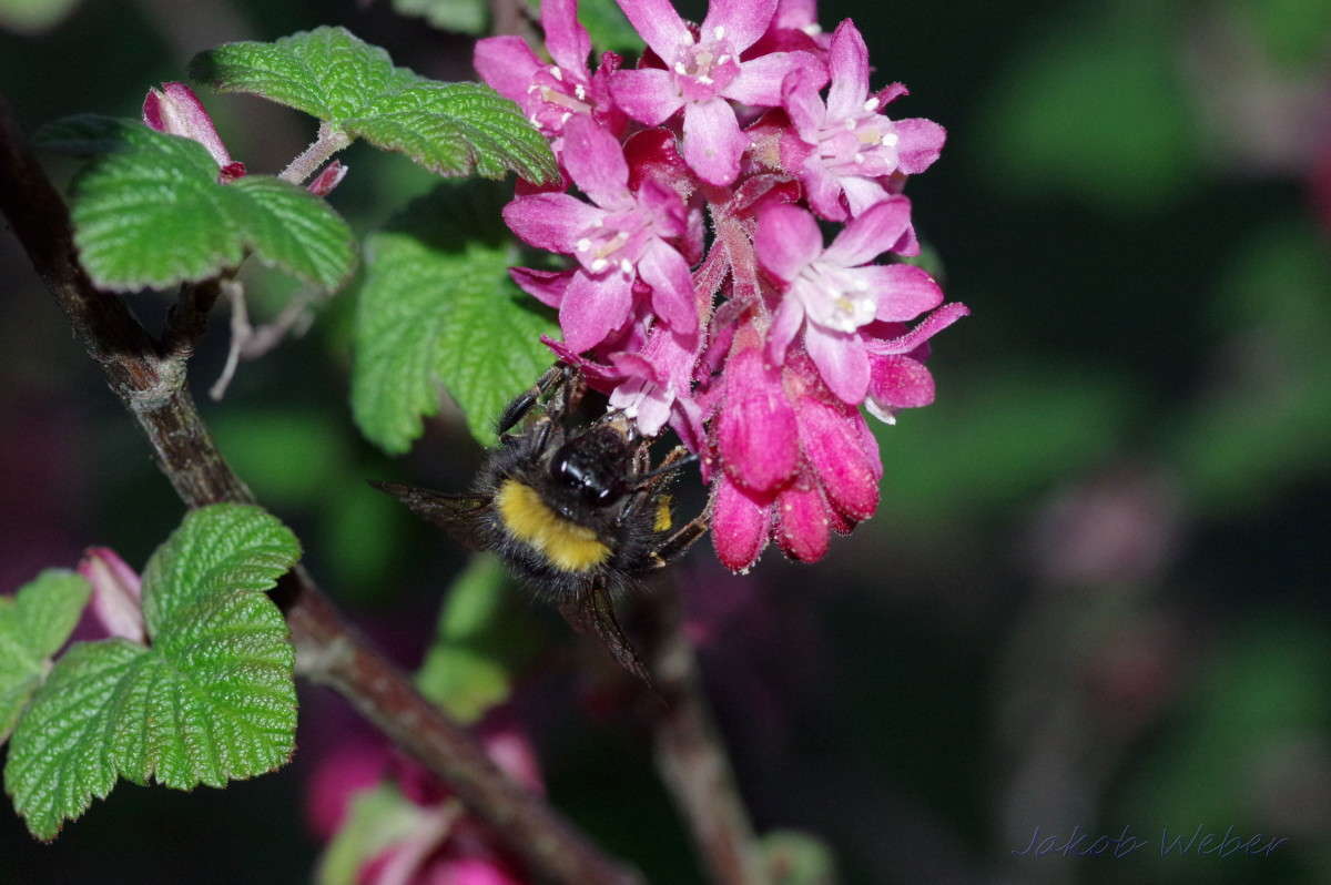 � ������ ����� ���� ����� �� PhotoGeek.ru #����� #�������� ��� #������ ��� ������� #����� ��� ��� ��������� #����� ��������������