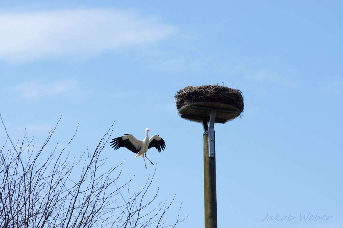 ���� �� ������ ����� ���� ����� �� PhotoGeek.ru #�������� ��� #������ ��� ������� #����� ��� ��� ��������� #����� ��������