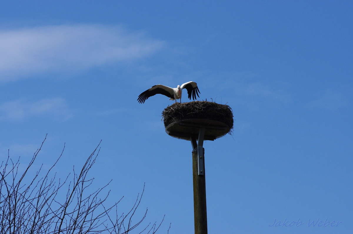 ������� ������������. ����� ���� ����� �� PhotoGeek.ru #�������� ��� #������ ��� ������� #����� ��� ��� ��������� #������ #����� ��������