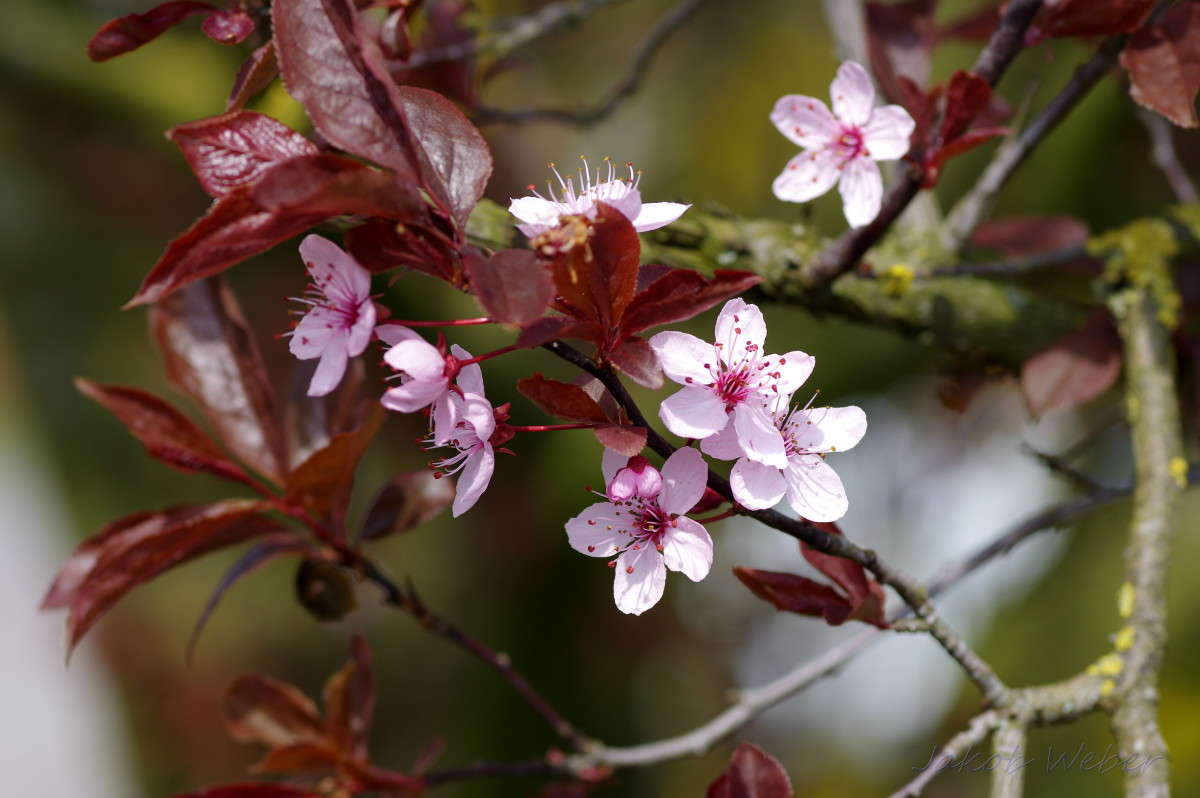 ��������� ����� ���� ����� �� PhotoGeek.ru #����� #������ ��� ������� #����� �������������� #������