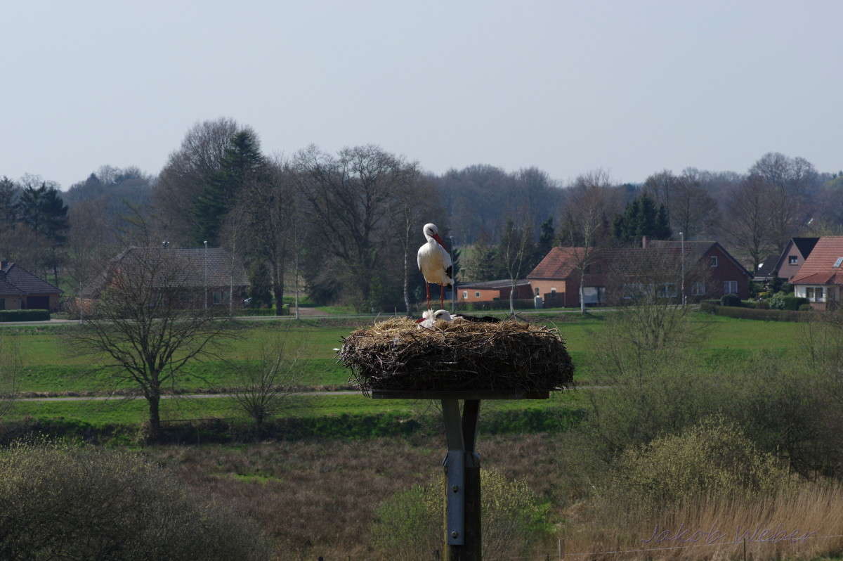 ����� ����� ���� ����� �� PhotoGeek.ru #�������� ��� #������ ��� ������� #����� ��������